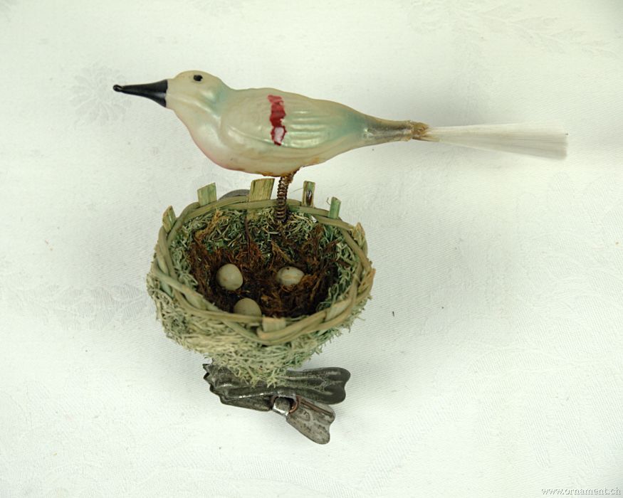 Mother Bird on Nest