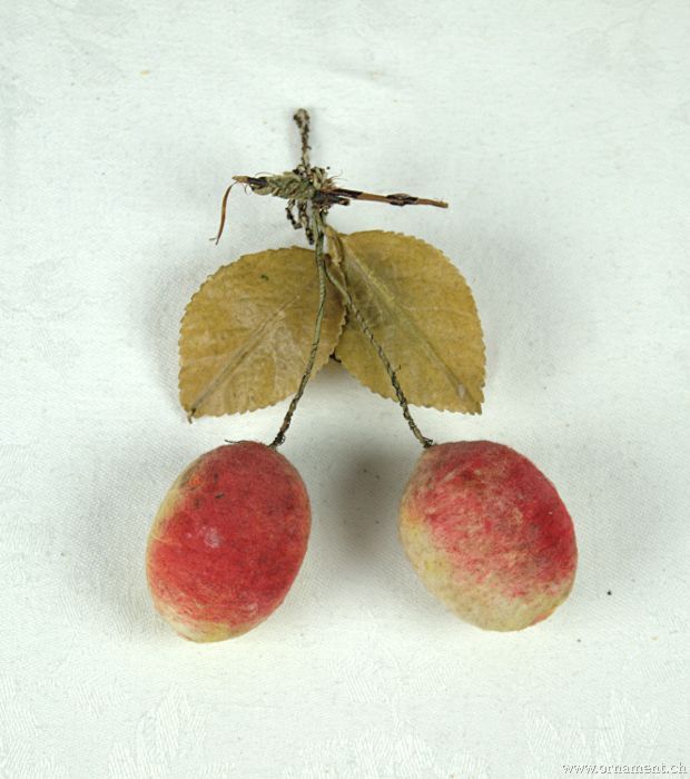 Fruits on a Twig